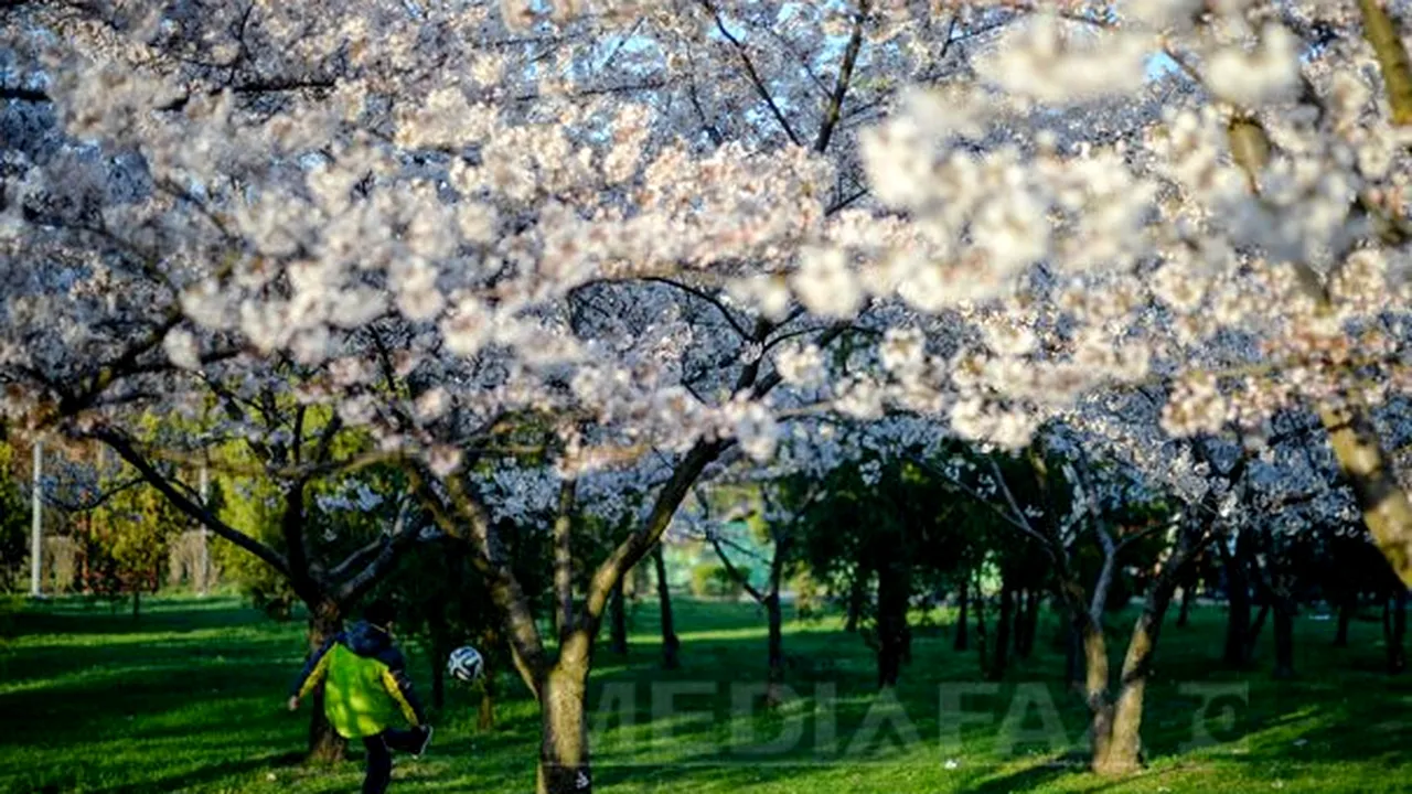 Vremea va fi în general frumoasă. PROGNOZA METEO pentru Vineri şi Sâmbătă 