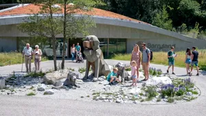 Saint Bernard, câinii-simbol ai Alpilor, au acum un muzeu care le spune întreaga poveste