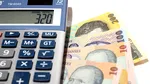 Curs valutar 25 aprilie. Gramul de aur a scăzut. Leul s-a depreciat în fața euro, a dolarului și lirei sterline