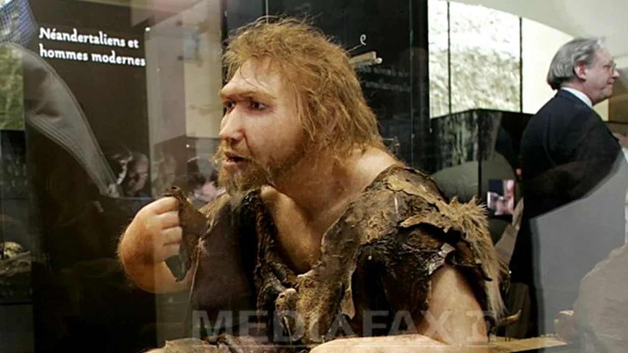 Catastrofele naturale nu au dus la dispariţia Omului Neanderthalian. Care a fost principala cauză a extincţiei acestuia