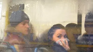 Nouă regiuni din Ucraina sunt în carantină din cauza gripei porcine