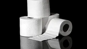 Un cunoscut producător de hârtie igienică din China se aşteaptă la o creştere semnificativă a profitului, în plină criză