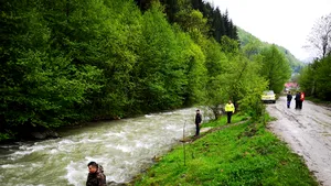Fetiţă de 6 ani dispărută de acasă, căutată cu un câine de urmă | FOTO