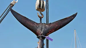 Un ton uriaş a fost cumpărat cu aproape 2 milioane de dolari la o licitaţie. Cine a plătit suma 