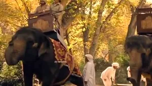 HBO, criticat de PETA pentru că a folosit elefanţi reali pentru serialul 