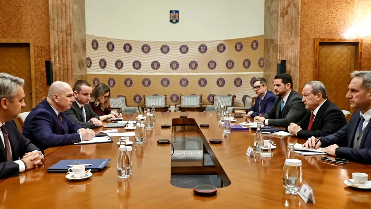 Investitorii de la Mintia, viitoarea cea mai mare centrală electrică pe gaze din Uniunea Europeană, termen oficial pentru începerea producției