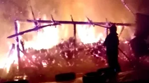Incendiu violent în Suceava: Zeci de animale au fost arse de vii