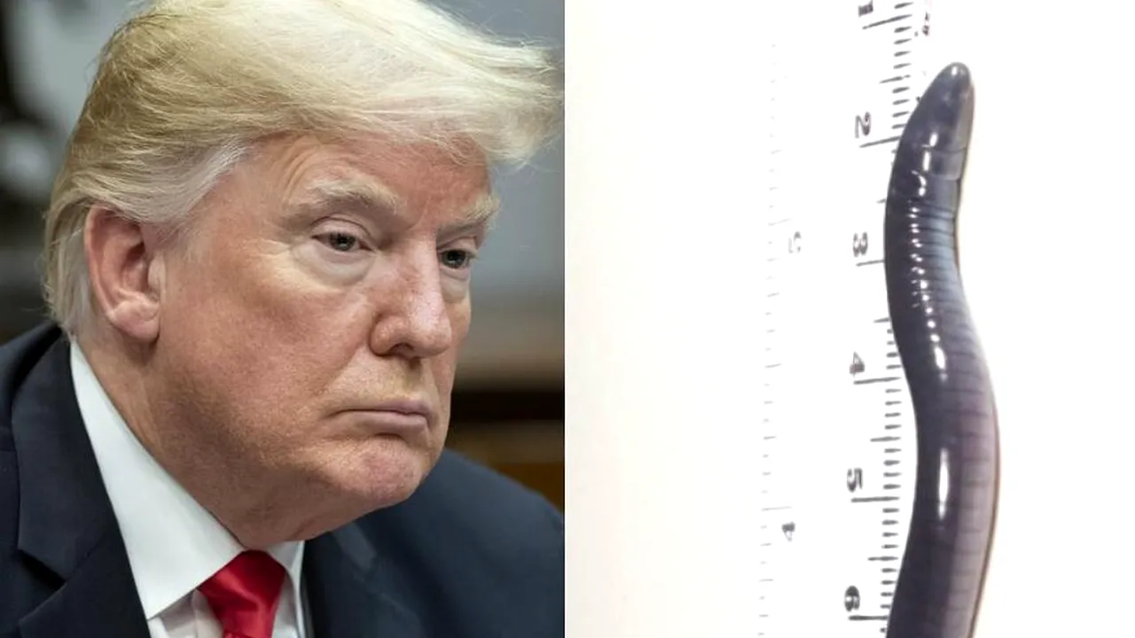 O creatură oarbă, care-şi ascunde capul în nisip, a fost numită după Donald Trump. Care este MOTIVUL