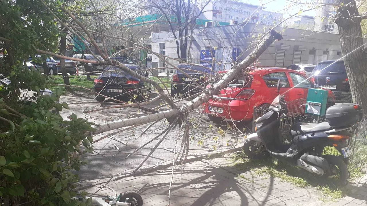 Vânt violent: Stâlpi şi copaci doborâţi, case şi maşini avariate în 13 judeţe din ţară / Maşină strivită în Sectorul 1 / Vremea, folosită politic de un candidat la Primăria Capitalei