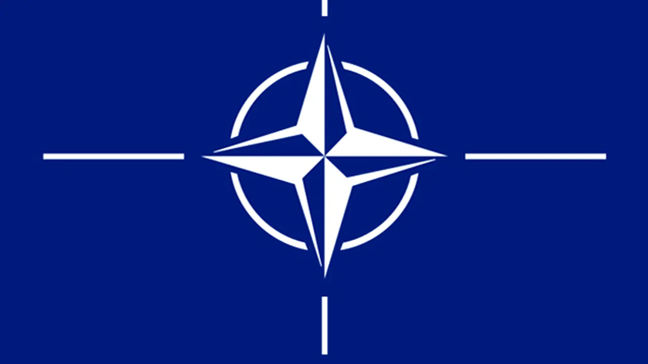 Constituţia modificată prevede şi adoptarea legii de aderare la Tratatul NATO aprobată deja din 2004