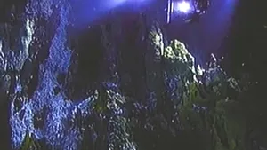 SURPRIZA din Groapa Marianelor: Vietăţile din cel mai neospitalier loc de pe Pământ