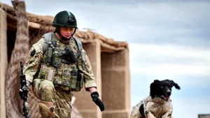 Un câine antrenat să găsească bombe în Afganistan a murit de dorul stapânului ucis de talibani