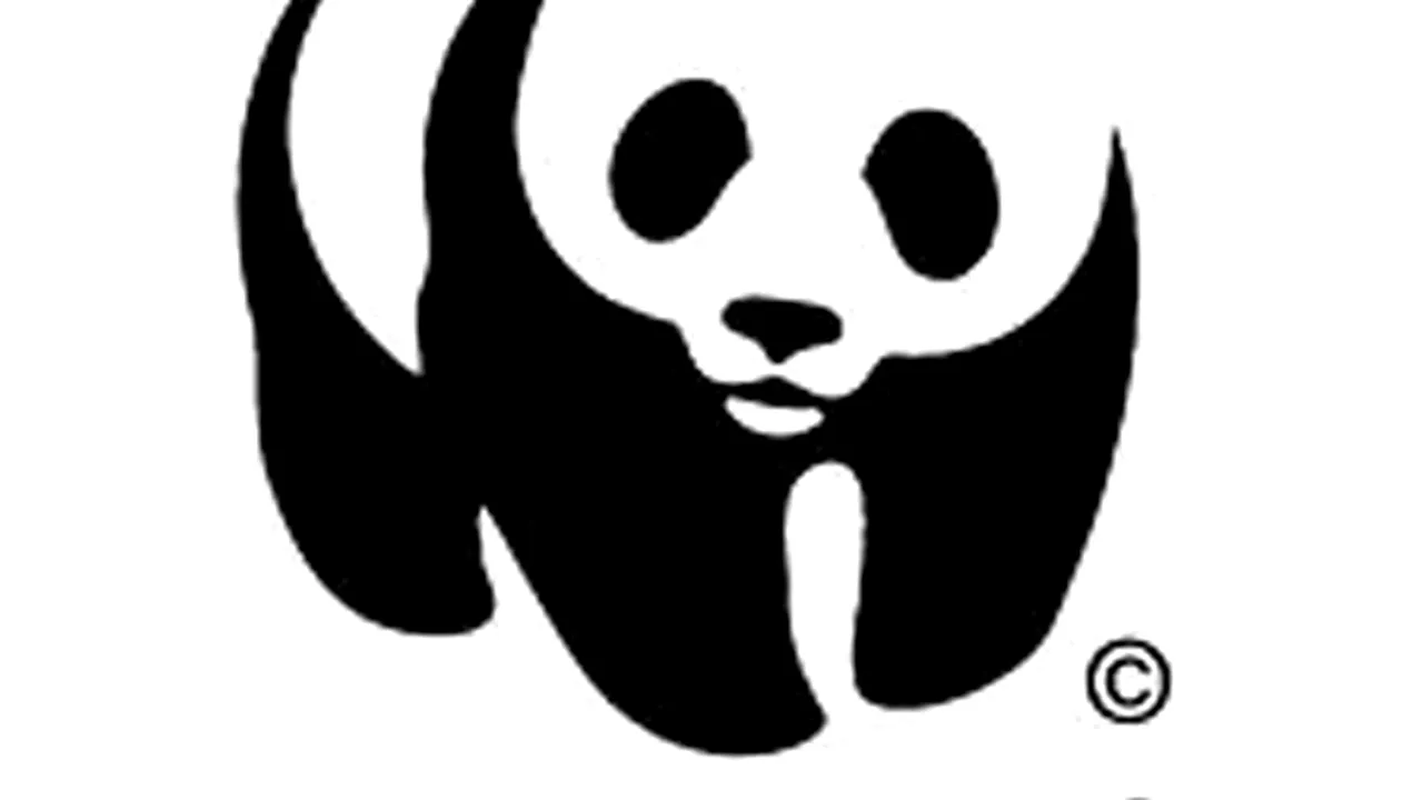 WWF România: Cerem recensământul urşilor şi identificarea rutelor de migraţie, pentru a avertiza localnicii