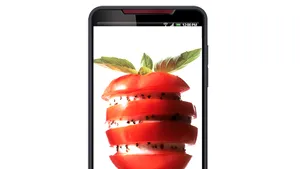 Mediafax şi Orange lansează primul mini-site culinar din portalul Orange pe mobil