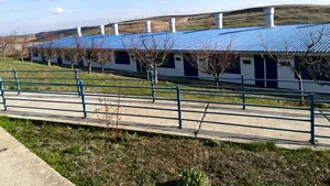 O casă de insolvenţă vinde două ferme de creştere a porcilor, afectate de pesta porcină. Cea mai ieftină costă jumătate de milion de euro