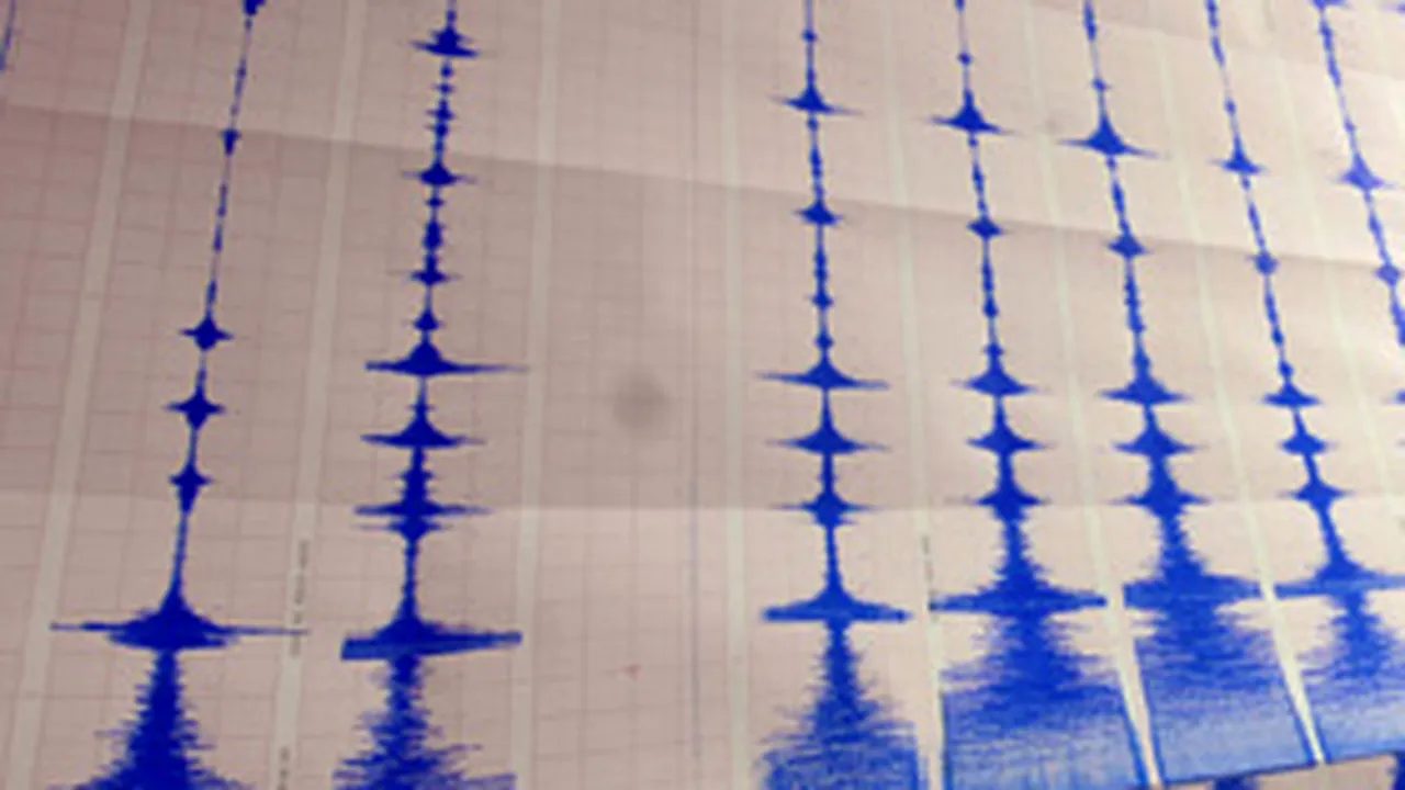 Cutremur de 4,2 grade pe scara Richter în Vrancea
