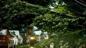 Ploi torențiale în Capitală. Peste 800 de solicitări la ISU în urma furtunii de luni din București și din Ilfov