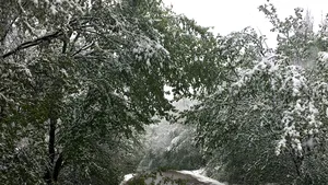 VISCOL pe Valea Prahovei. Şapte turişti BLOCAŢI într-o cabană din staţiunea Cheia