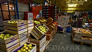 Amenzi de 121.000 lei, după raziile de joi la comercianţii de legume şi fructe de lângă Bucureşti
