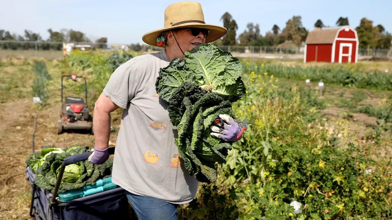 Studiu. Micii fermieri produc o treime din alimentele lumii