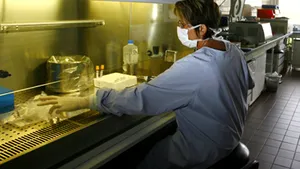 Vaccinurile împotriva gripei porcine ar putea fi periculoase pentru persoanele alergice la ouă