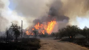 Atenționare pentru românii care călătoresc în Franța: risc crescut de incendii de vegetație