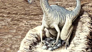 Masculii de dinozauri carnivori erau nişte părinţi exemplari, dar şi poligami - studiu