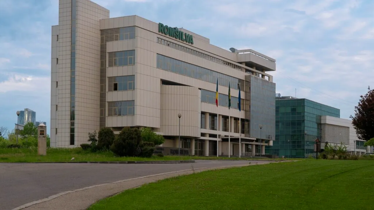 Romsilva anunță selecție pentru ocuparea funcției de director general provizoriu