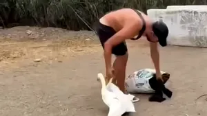 VIDEO Imaginile care au revoltat Spania: delfin scos din mare și gâscă băgată în pungă de migranți