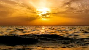 Mările Europei intră pe un teritoriu „neexplorat”. Schimbările climatice, principala cauză