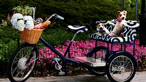 Cele mai inedite cadouri