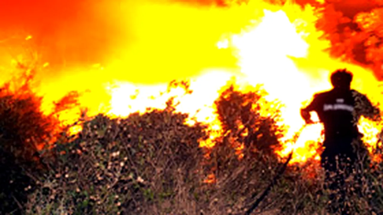 Rusia: Doi morţi şi peste 300 de persoane rămase fără case în urma incendiilor