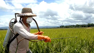 Pesticidele favorizează apariţia sindromului hiperkinetic cu deficit de atenţie (ADHD)
