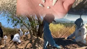 1.600 de dinți de lapte într-o groapă comună. Descoperirea care cutremură Mexicul
