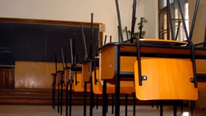 Adomniţei: Doar 58% din unităţile de învăţământ au autorizaţii de funcţionare