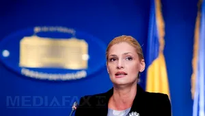 Foştii miniştri Ramona Mănescu şi Radu Stroe vor fi audiaţi în dosarul accidentului din Apuseni