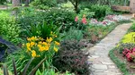 Planta care te ajută să ții căpușele departe de grădină. Cum o plantezi și ce alte măsuri trebuie să iei