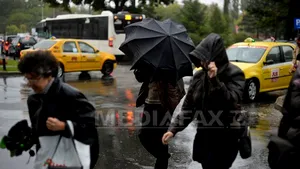 Primăria Sectorului 6 despăgubeşte proprietarii ale căror maşini au fost avariate de copacii căzuţi