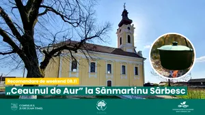 Recomandare de weekend - Visit Timiș