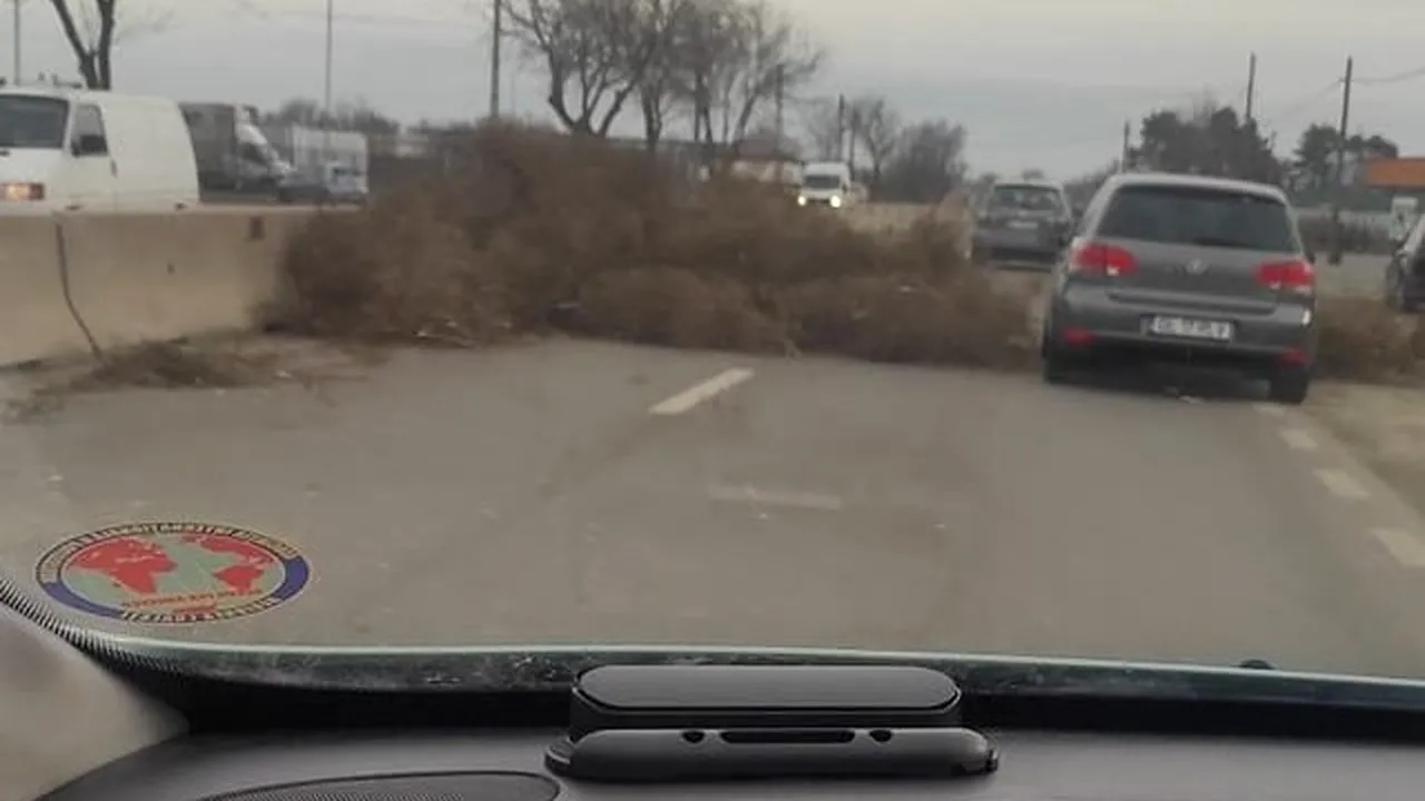 Incident inedit. Ciulinii aduşi de vânt au îngreunat circulaţia la ieşirea din oraşul Galaţi