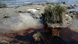 Efectele mareei negre din Golful Mexic, resimţite până în Europa şi Oceanul Arctic
