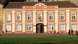 Timişoara: 38 de cartuşe din al doilea război mondial, găsite în podul unui liceu