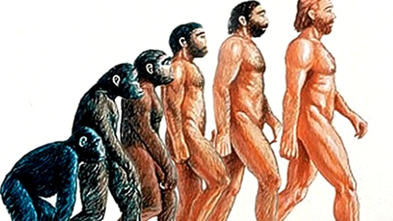 Evoluţia speciei umane a atins un nivel de stagnare