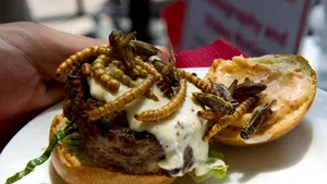 Preparate inedite: Hamburgeri cu lăcuste şi acadele cu scorpioni, servite pentru o cauză umanitară - FOTO