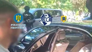 Canabis și ciuperci halucinogene livrate prin curier. Cinci suspecți, reținuți de DIICOT