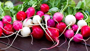 Beneficii ridichi: sunt bune pentru digestie şi te feresc de candidoză