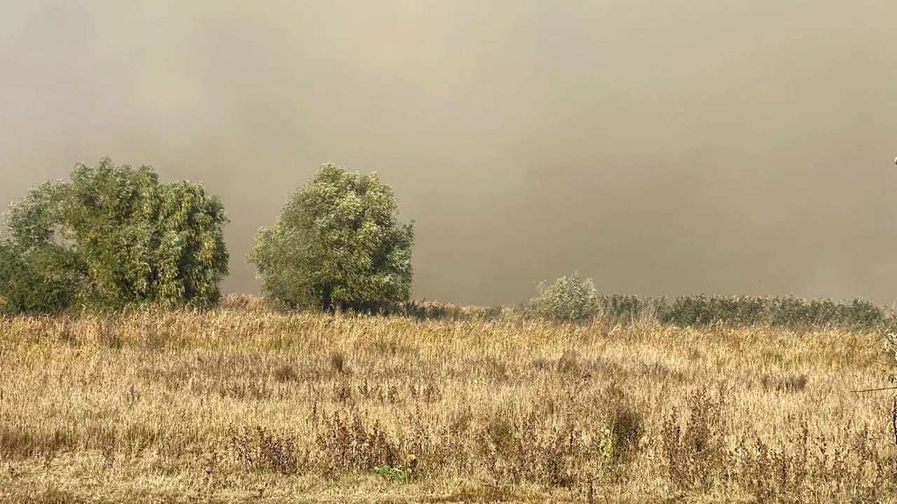 ISU Teleorman a intervenit duminică la 15 incendii de vegetaţie uscată. Apelul pompierilor
