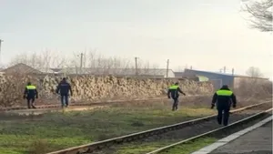 Cadavru dezmembrat de animale, găsit în Slobozia. Polițiștii fac verificări