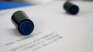 PROIECT: Românii din străinătate se pot înscrie în listele de vot prin cerere prealabilă la ambasade