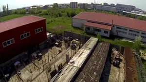 Probleme la adăposturile pentru câini din Capitală: animale nesterilizate, nedeclarate şi neînregistrate - VIDEO